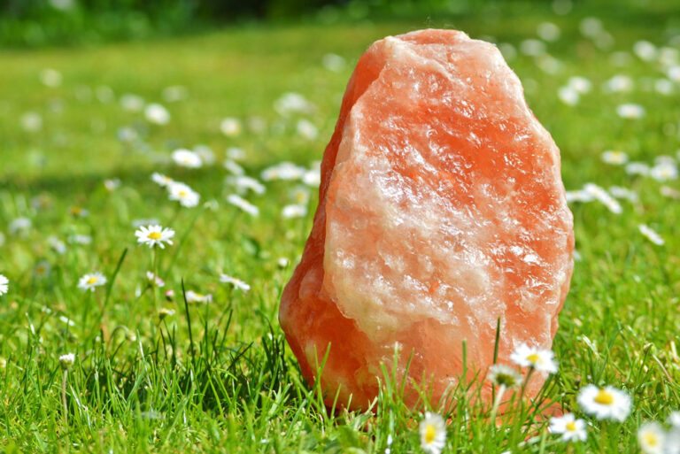 Piedra de sal para animales de ganado en un entorno de pastoreo.